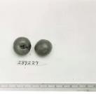 Click for 1 image(s) for this accession. FRUIT